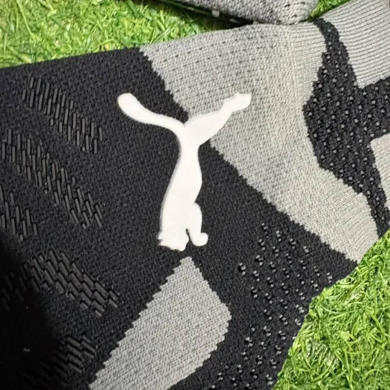 Puma galves view 2